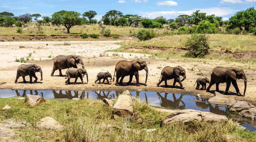 VIAJE EN GRUPO A SUDAFRICA