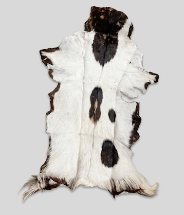Small-Batch Ranch Originals: Genuine Goat Hides