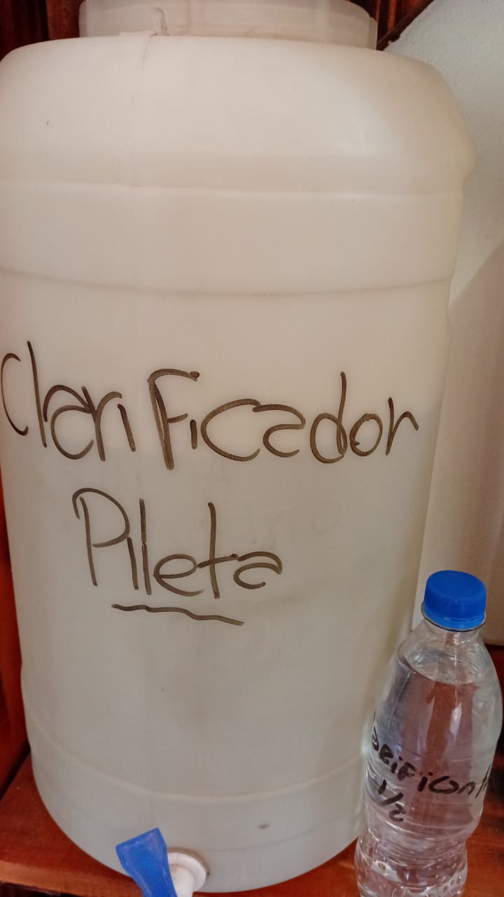 Clarificador Pileta