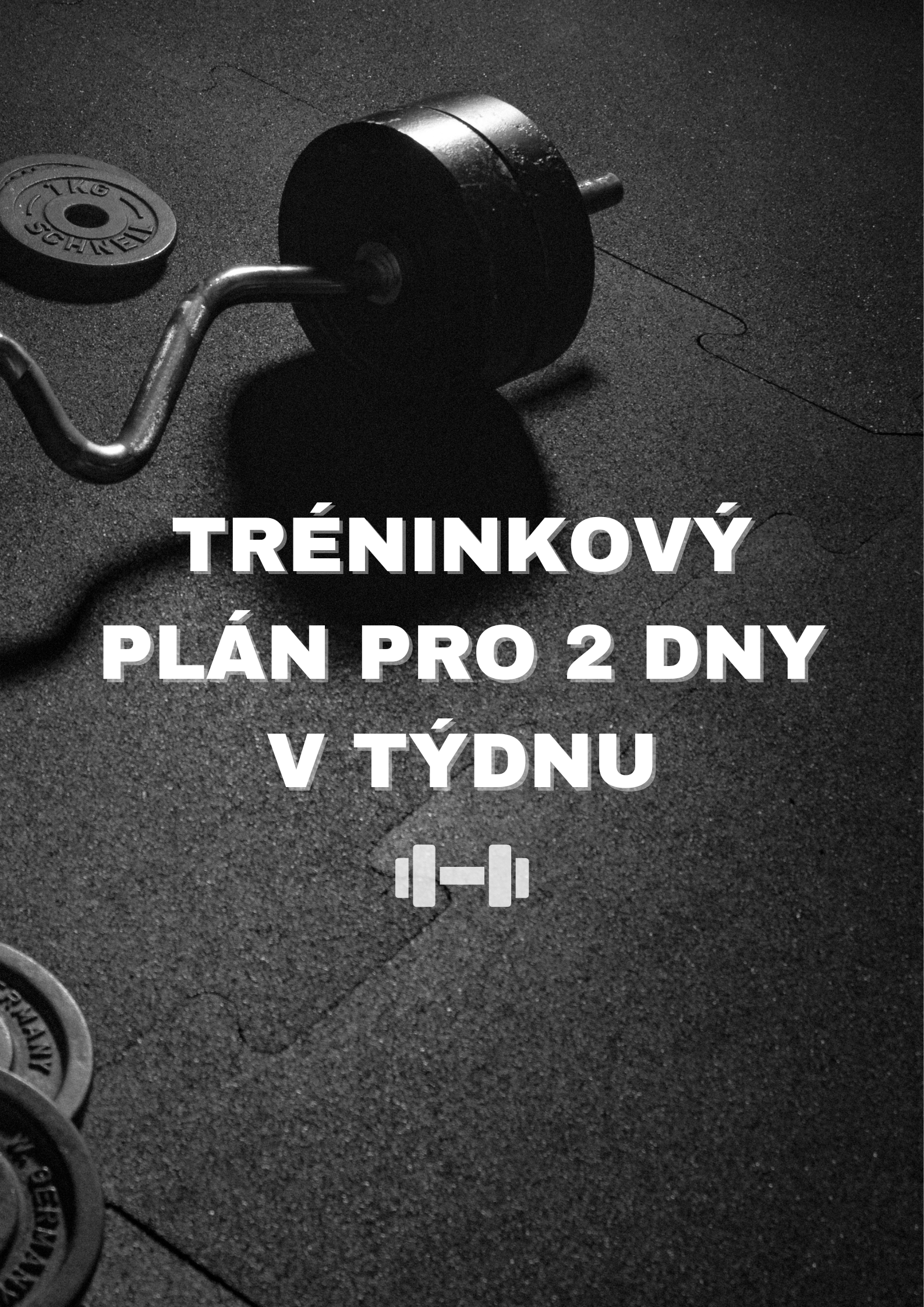 Tréninkový plán pro 2 dny v týdnu