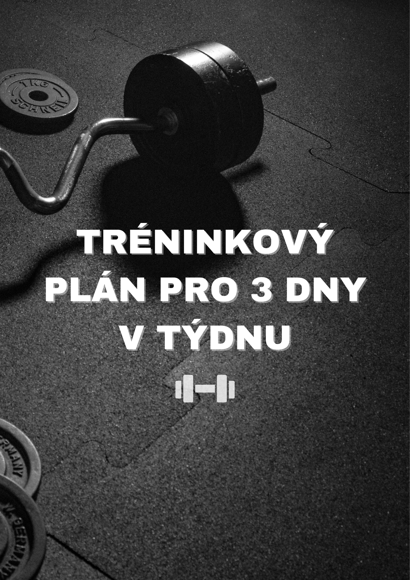 Tréninkový plán pro 3 dny v týdnu