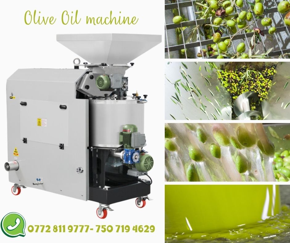  Olive Oil Extraction Machines - معاصر زيت الزيتون