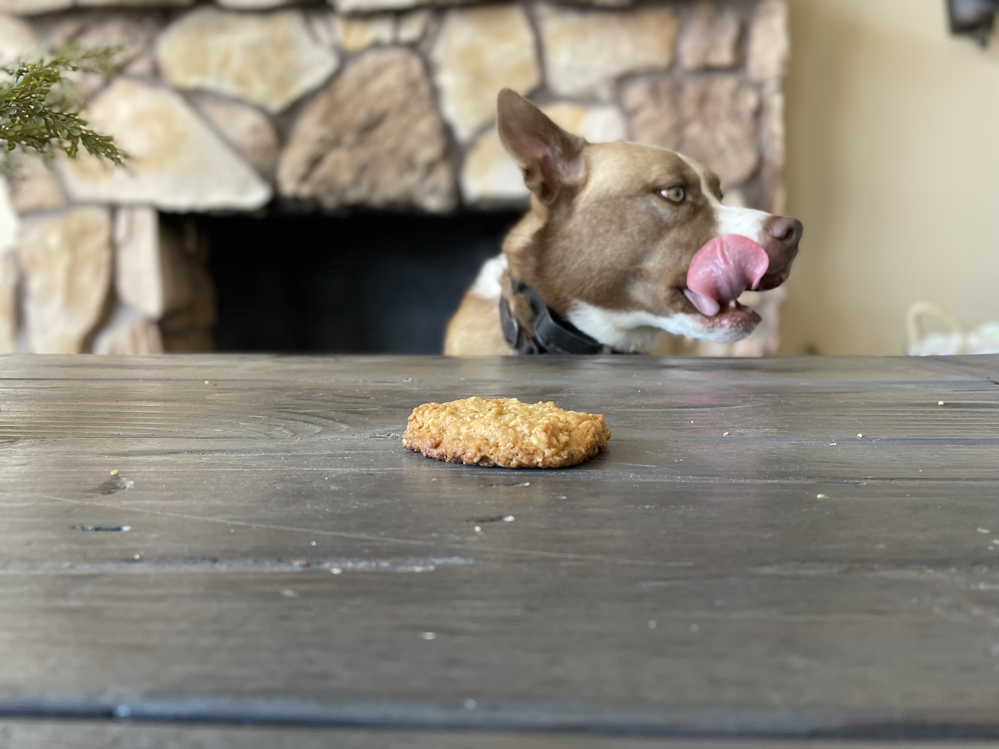 Lou's Ranger Cookies for Dogs