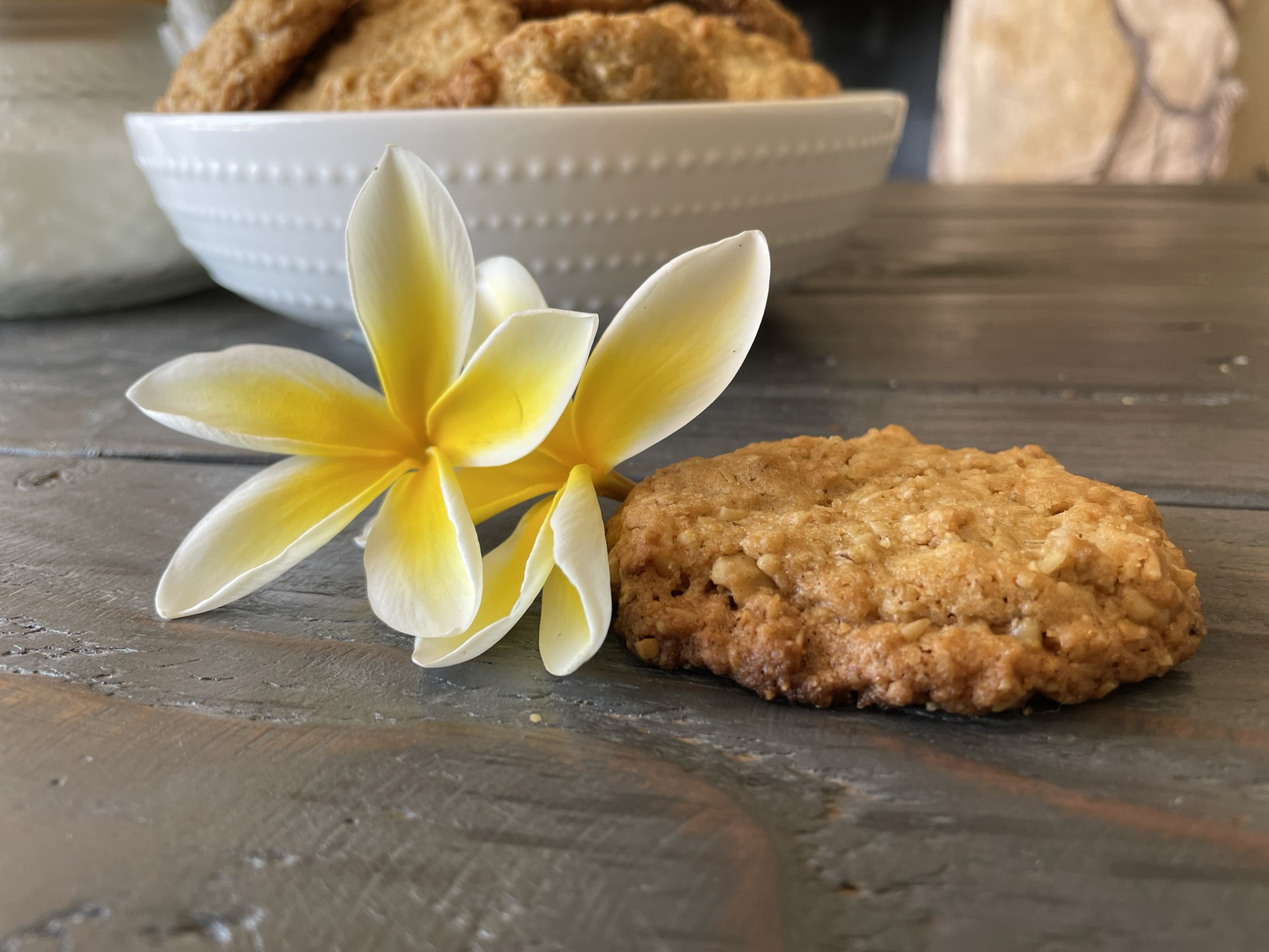 Lou's Ranger Cookies for Dogs