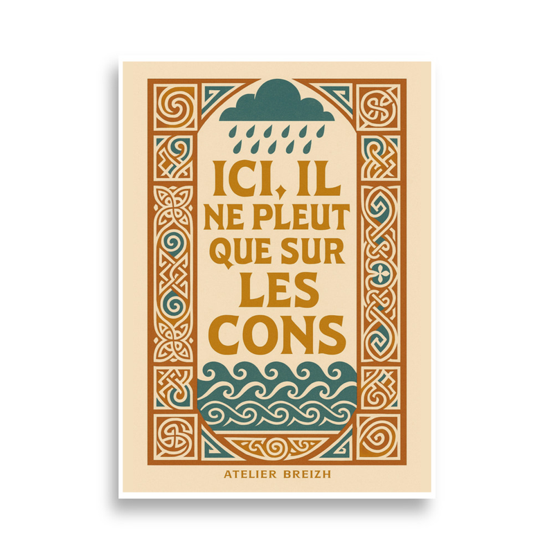 Affiche Il Ne Pleut Que Sur Les Cons