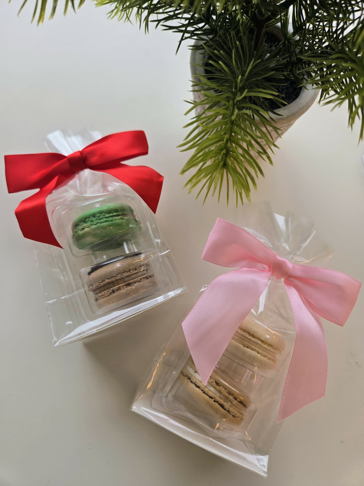 2 Macaron Gift