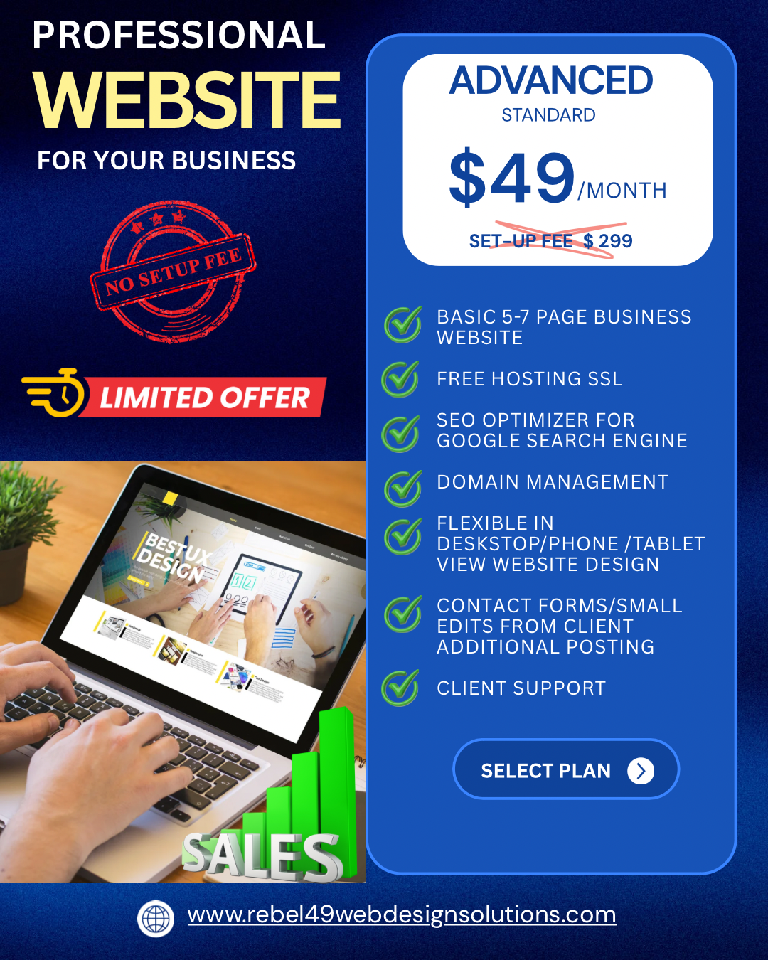 Professional Website Packages