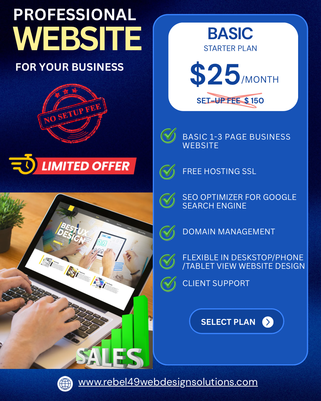 Professional Website Packages