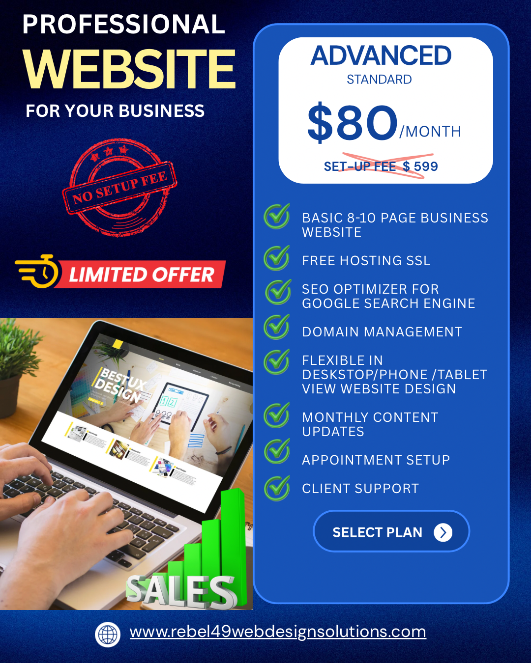 Professional Website Packages