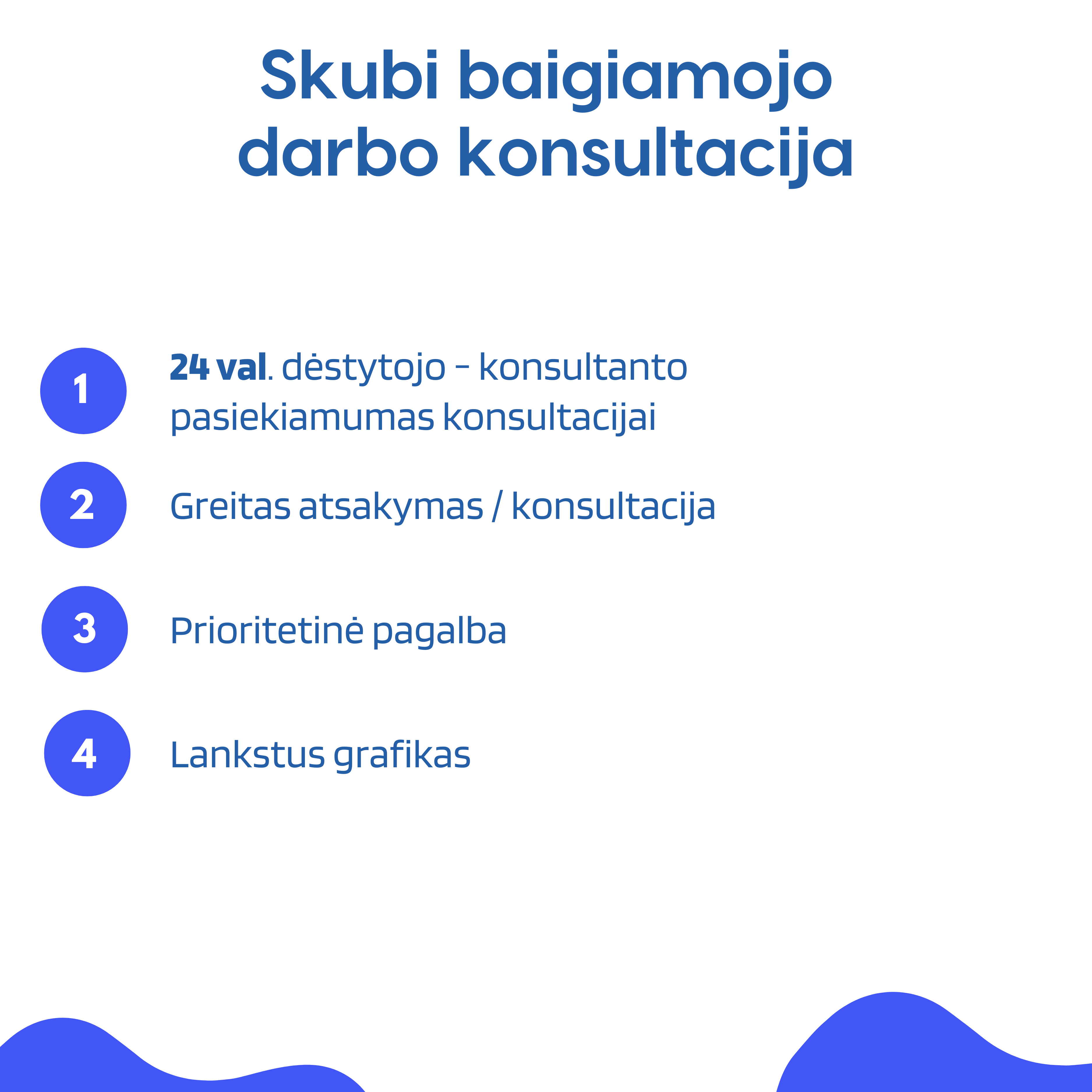 Skubi baigiamojo darbo konsultacija