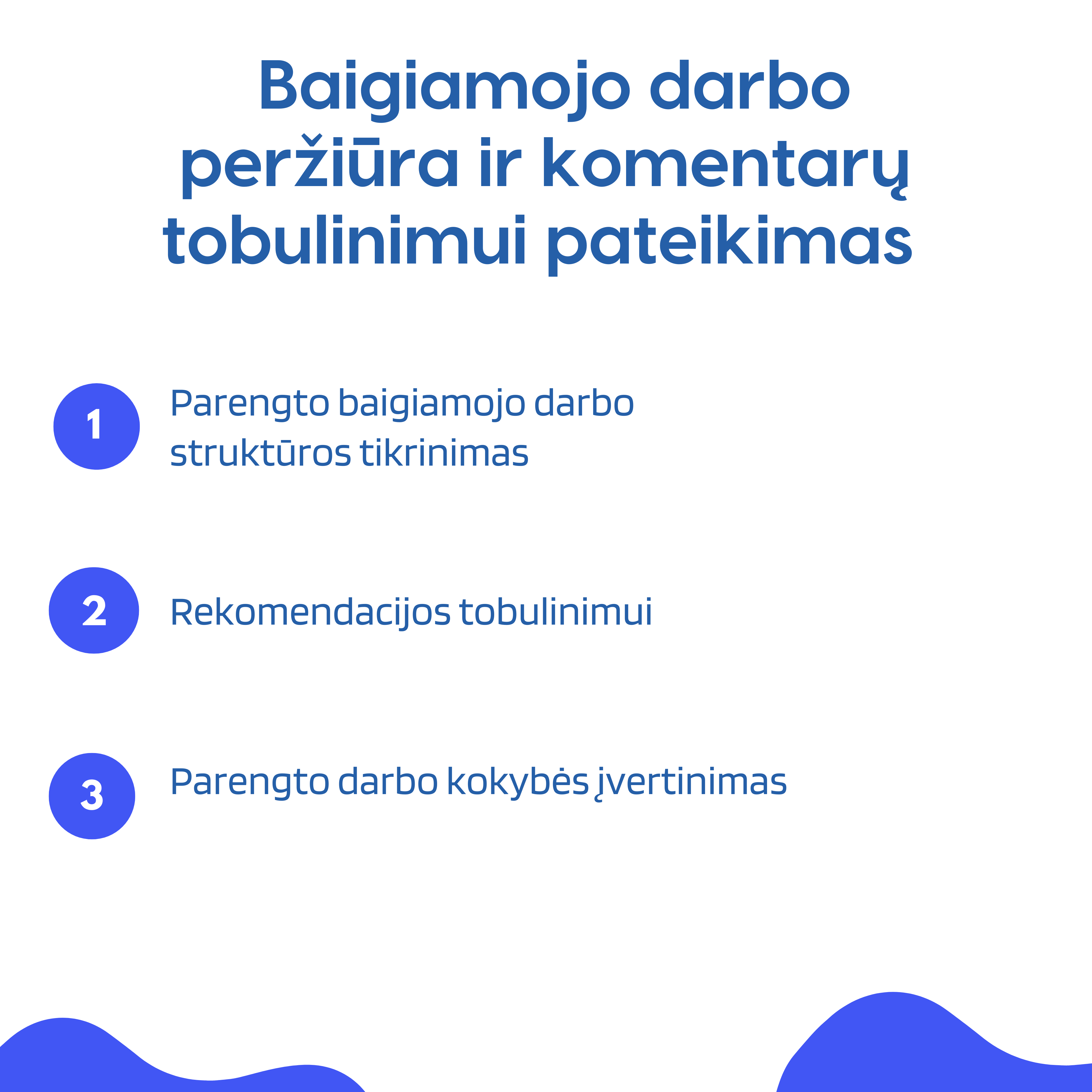 Baigiamojo darbo peržiūra ir komentarų tobulinimui pateikimas 