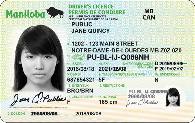 Manitoba Driver's Licence Card