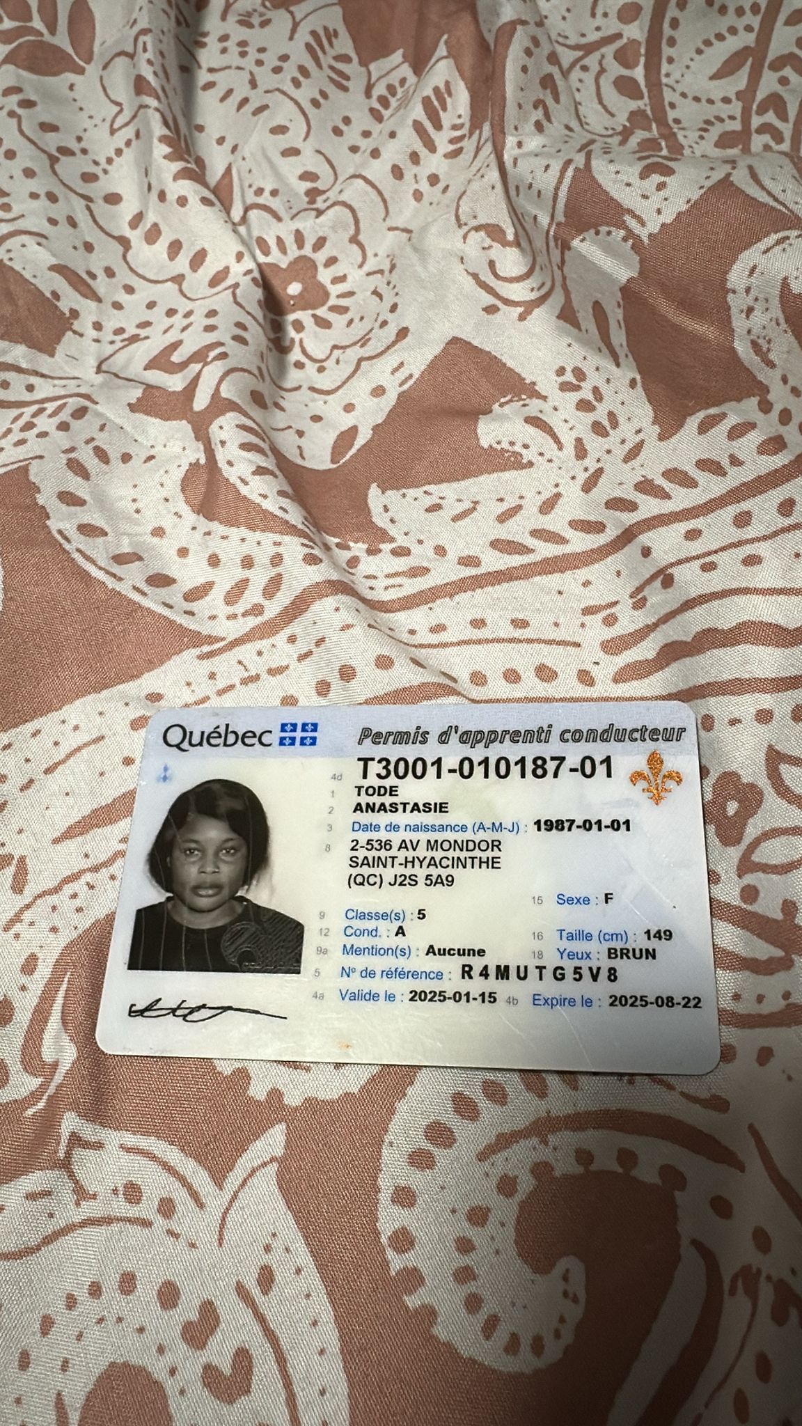 Quebec Driver's License