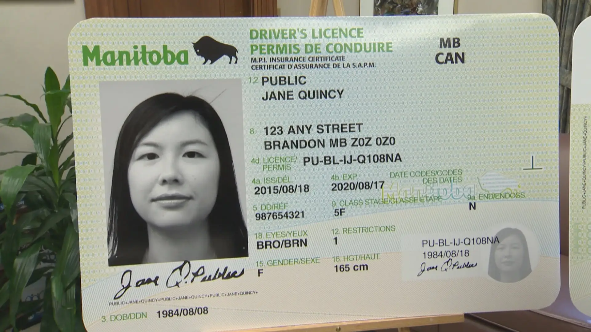 Manitoba Driver's Licence Card
