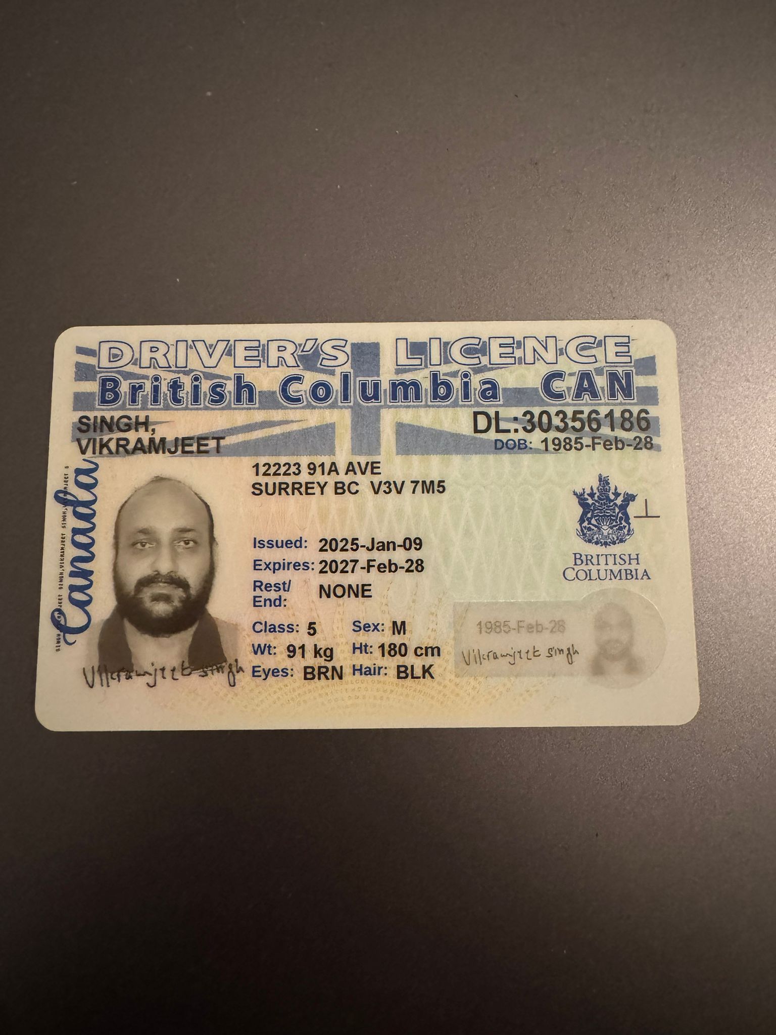 British Columbia Driver's Licence