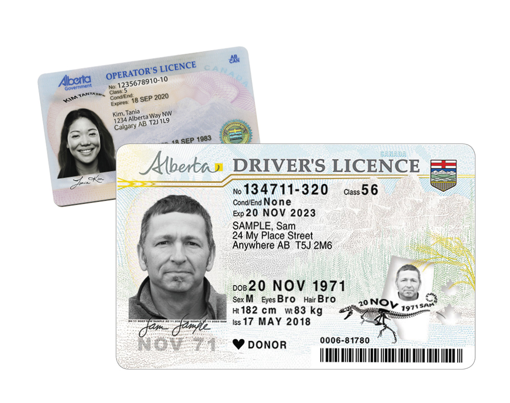 Alberta Driver's Licence and Operator's Licence
