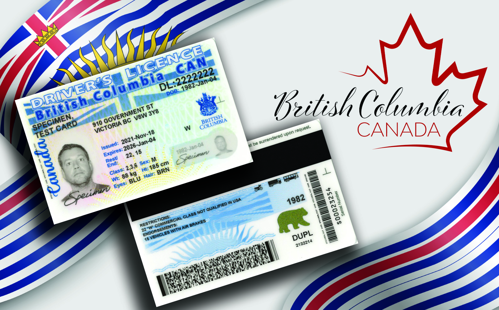 British Columbia Driver's Licence
