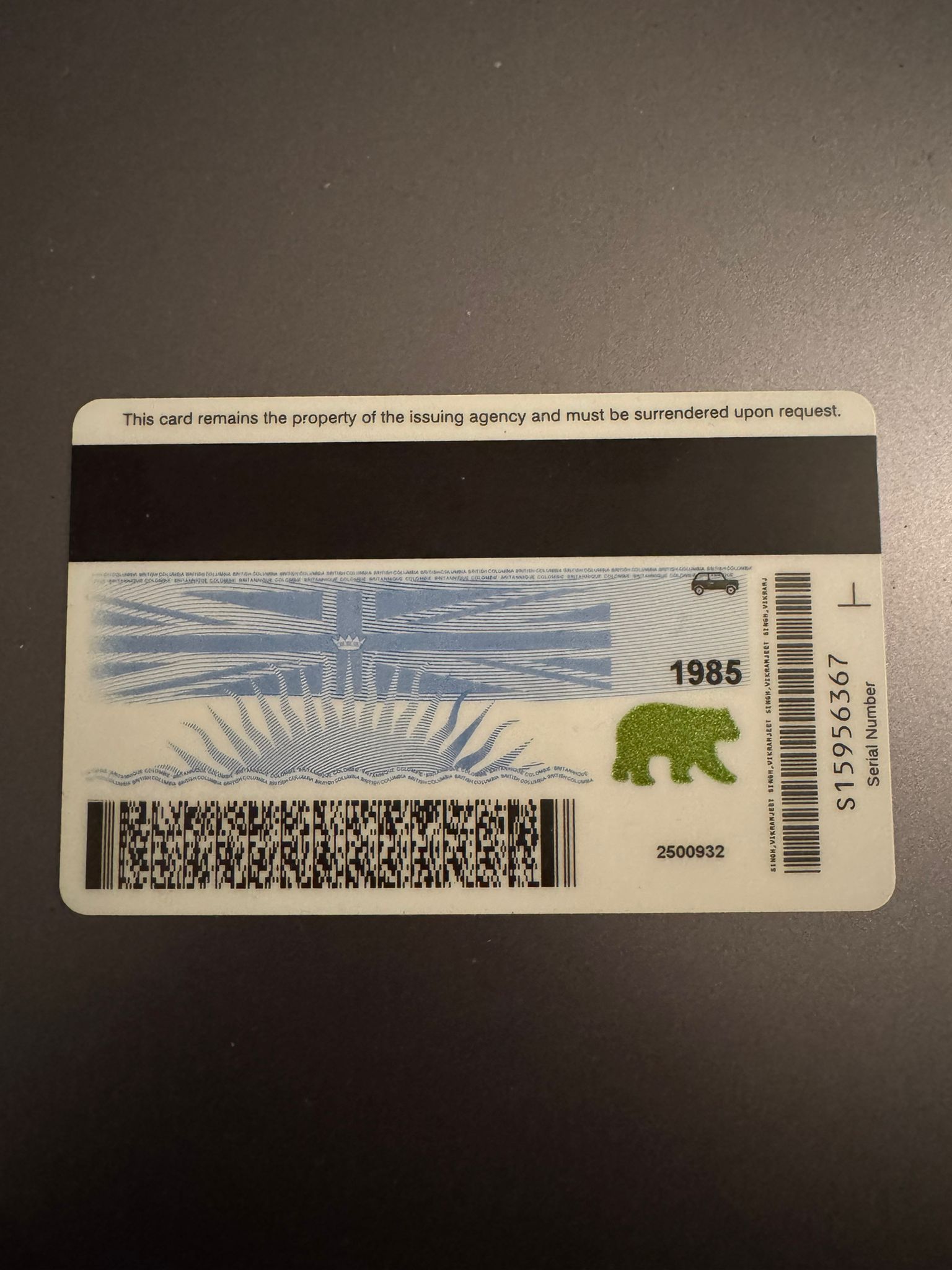 British Columbia Driver's Licence