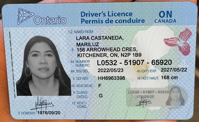 Ontario Driver's License
