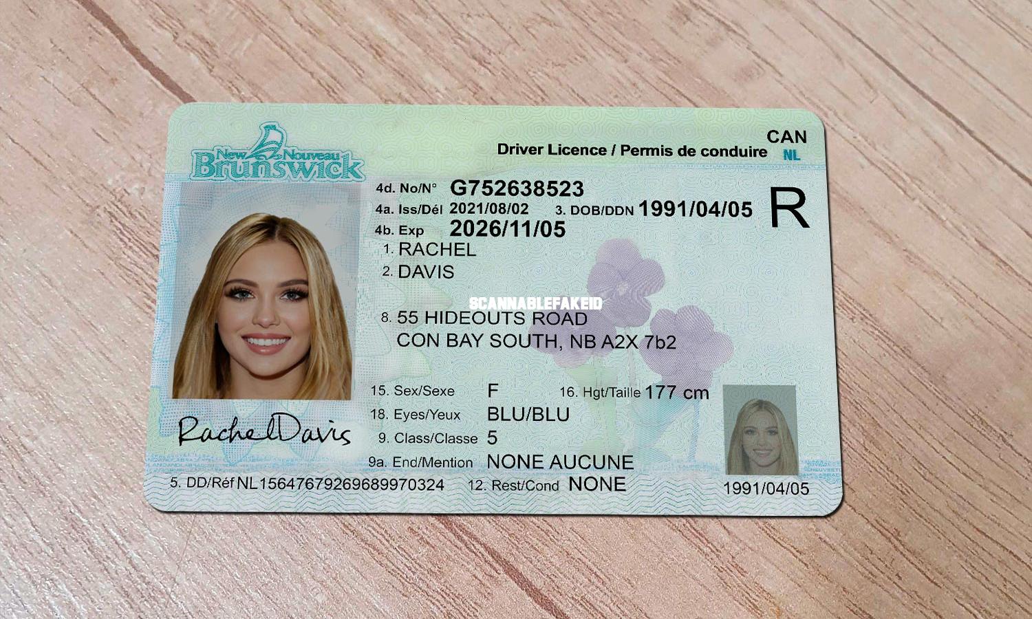 New Brunswick Driver's License