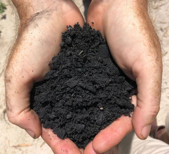 Black Gold Bamboo Biochar