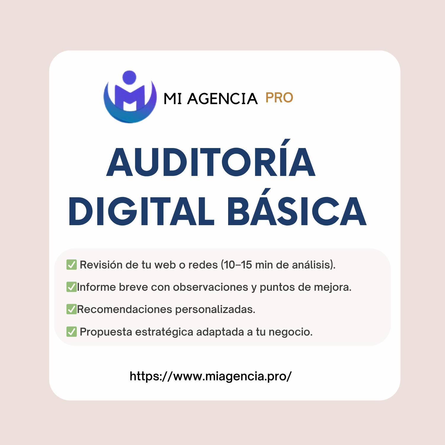 Auditoría Digital / Marketing