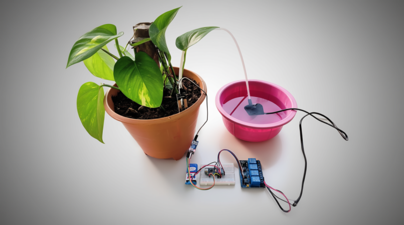 The Thirsty Plants and the Magic Water System