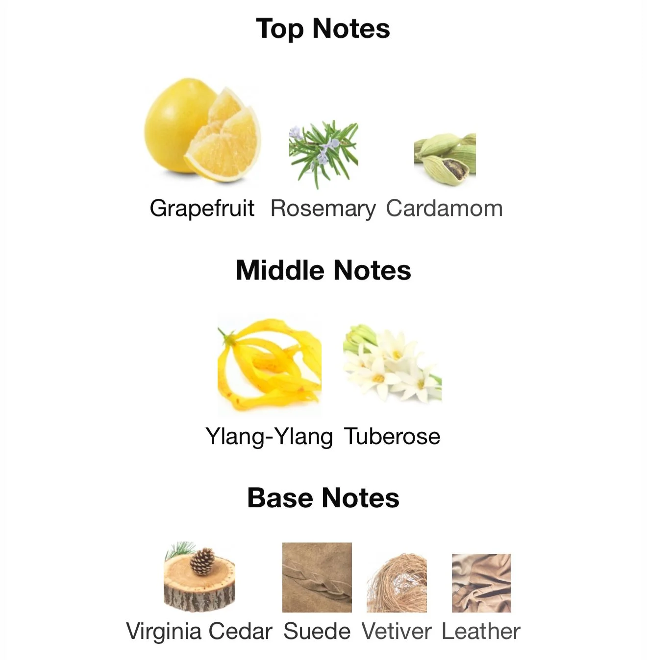 12:12 – Pure Perfume (30ml Series)