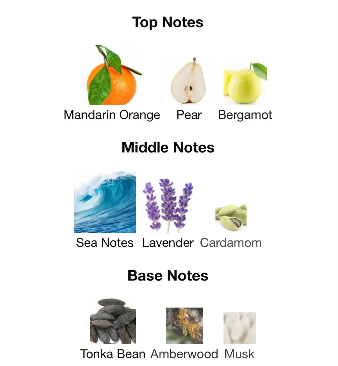 R7 Pure Perfume – 30ml by Al Haramain Perfumes