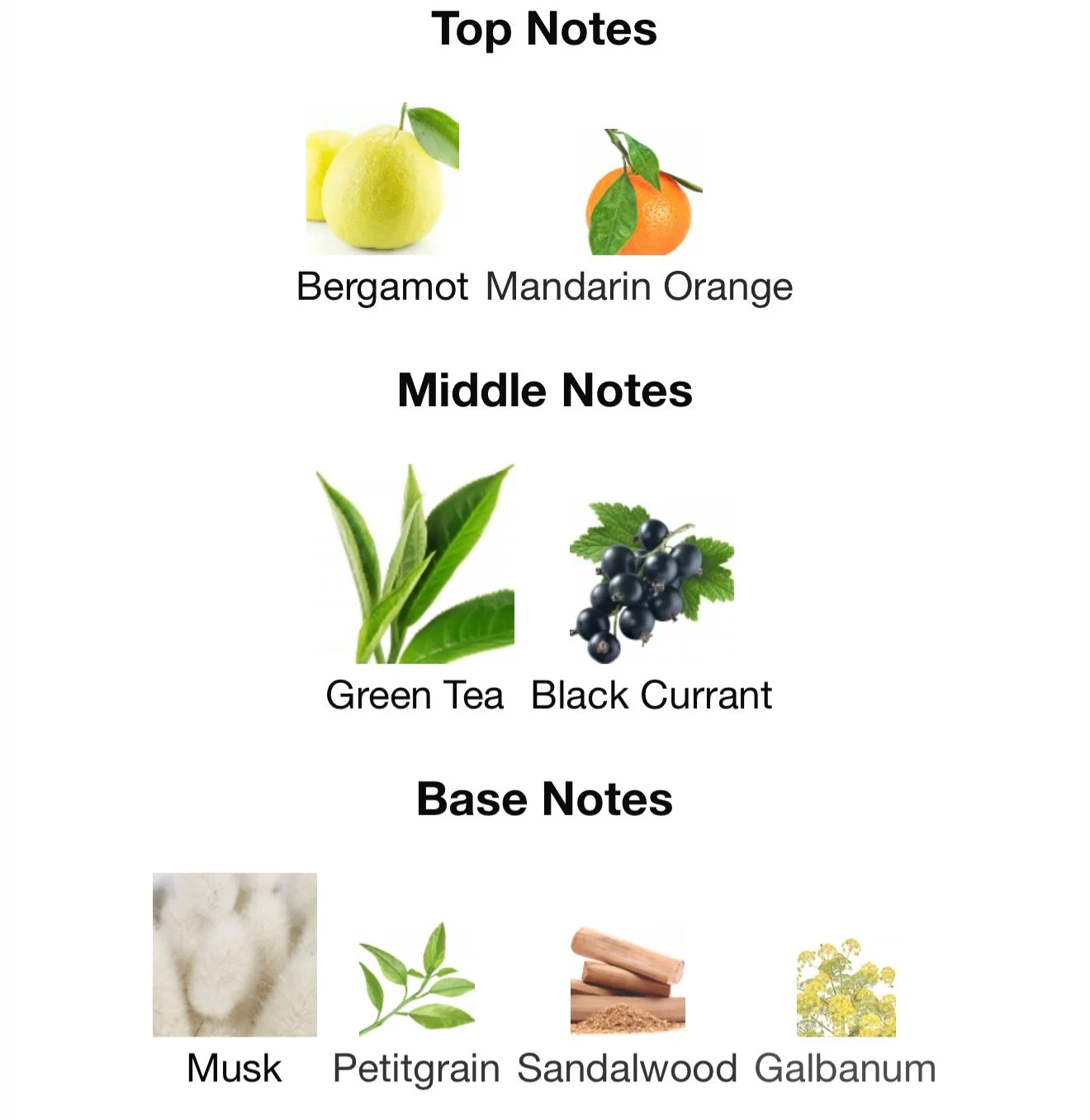  Silver – Pure Perfume (30ml Series)