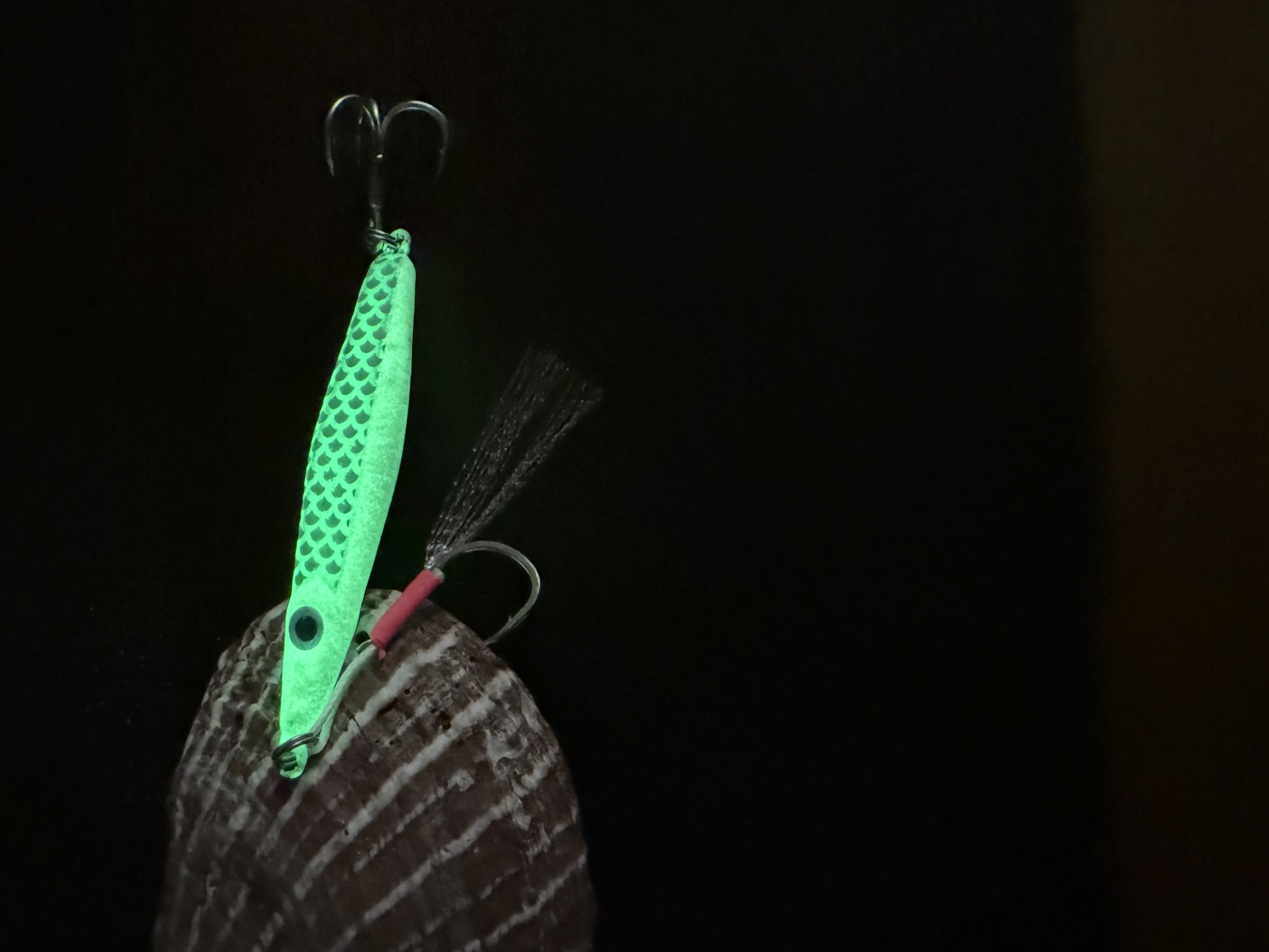Night Hunter - Reef Mackerel
