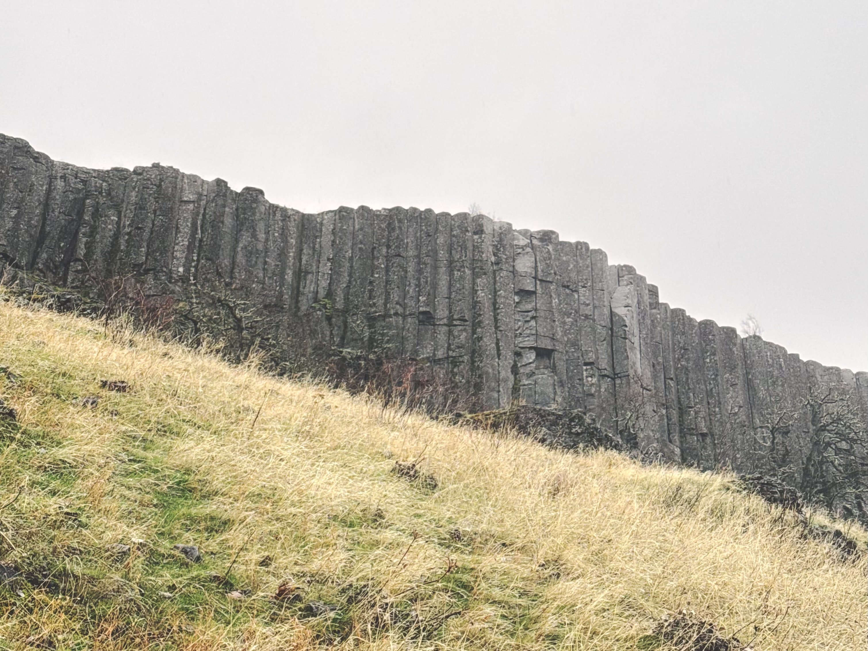 Basalt bud vase | Cluster