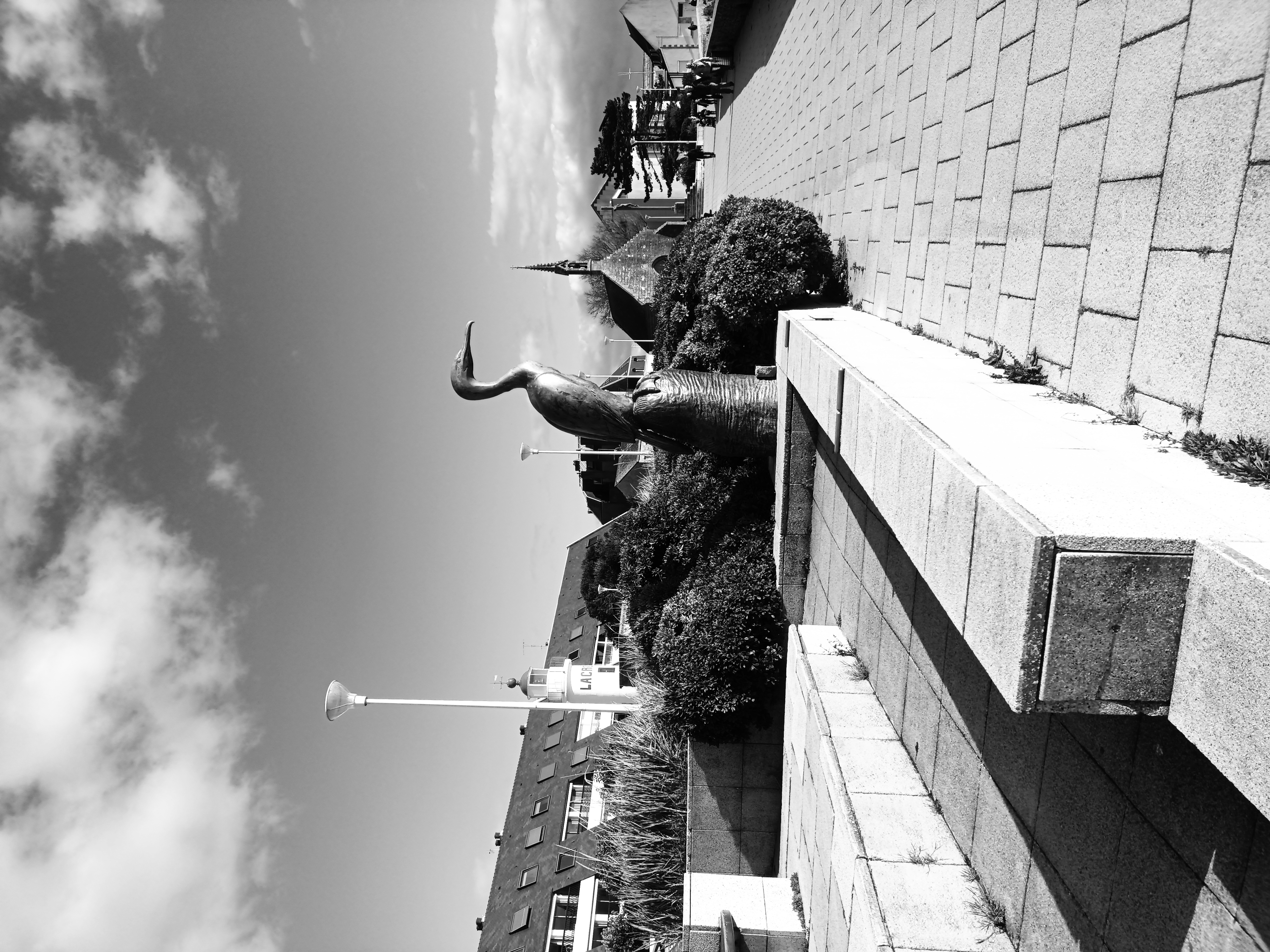 Une 1/2 journée à Concarneau adaptée