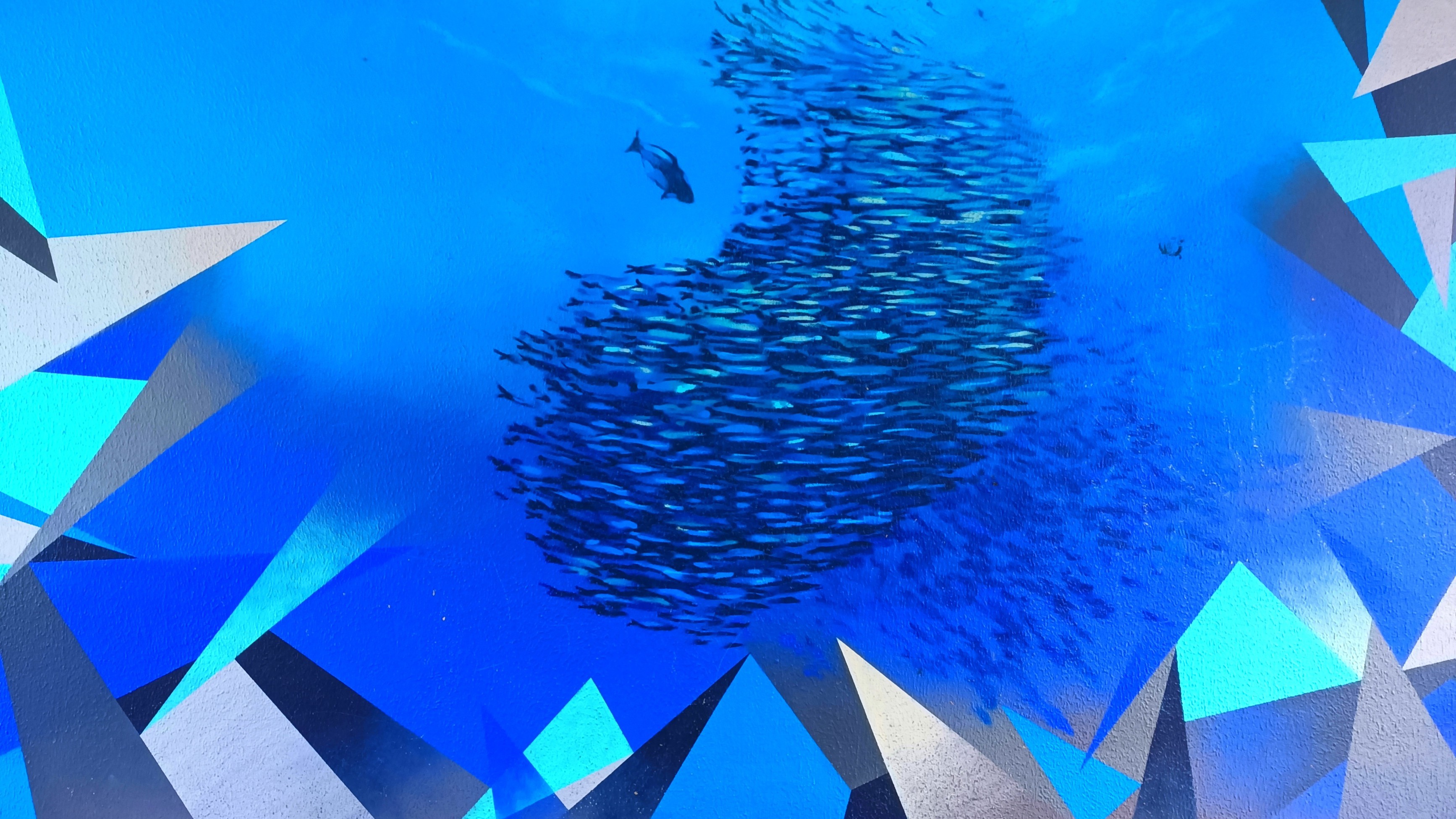 Une 1/2 journée à Concarneau