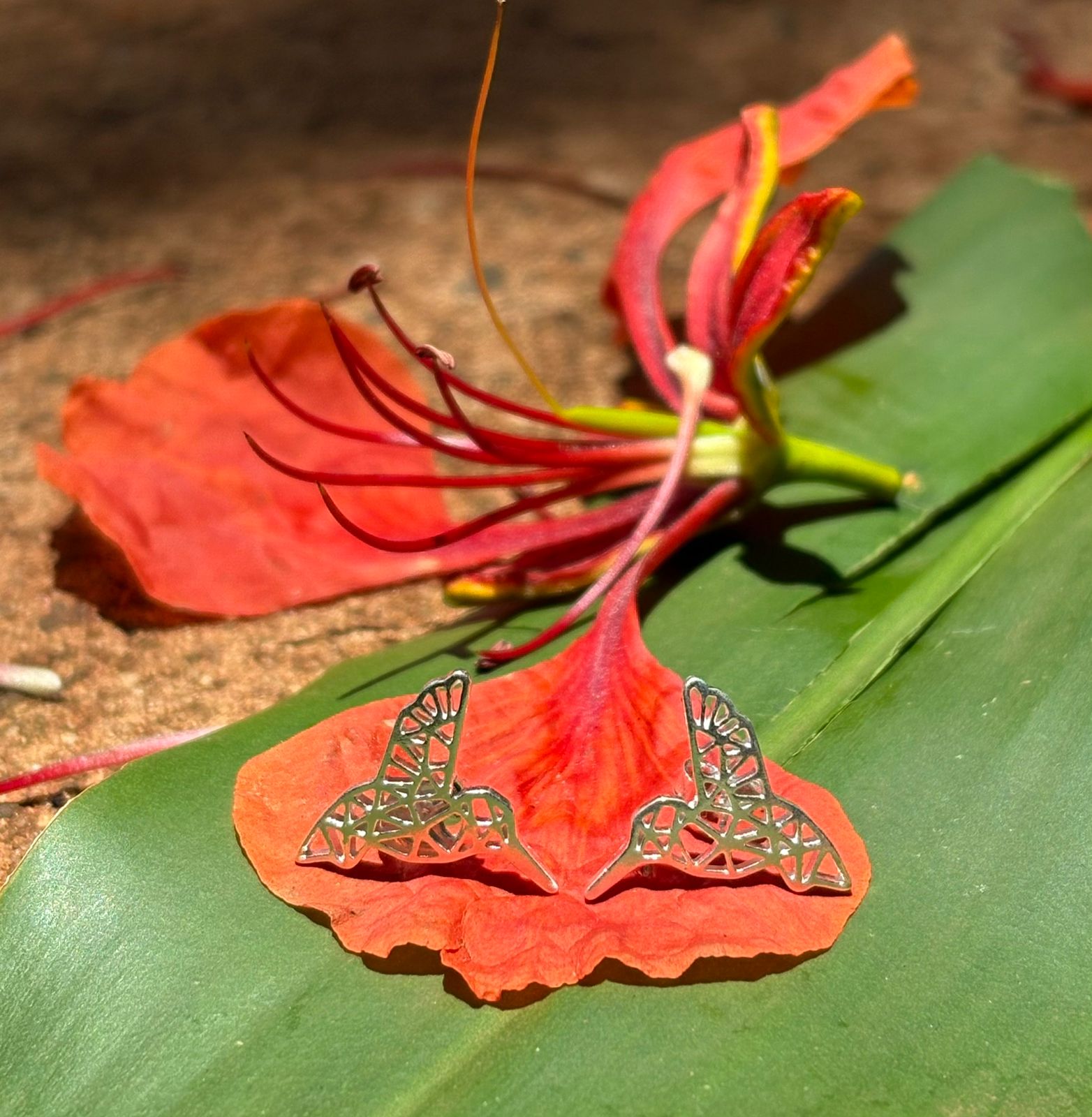 Brincos Beija-flor em Prata