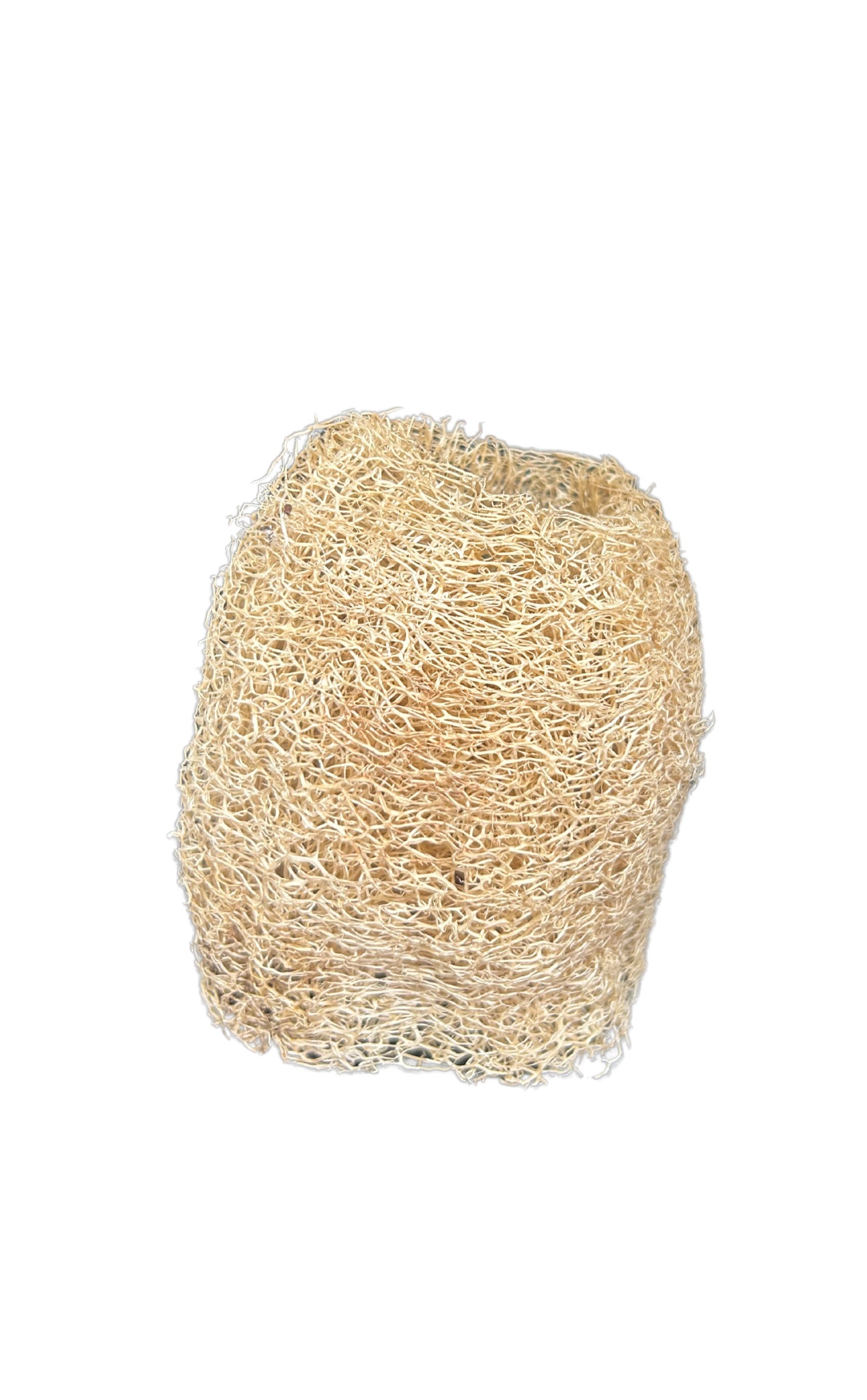 ESPONJA VEGETAL CHICA