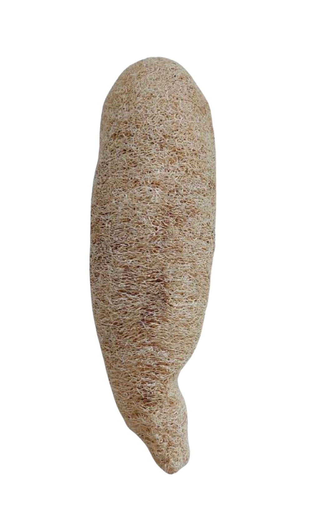 ESPONJA VEGETAL MEDIANA