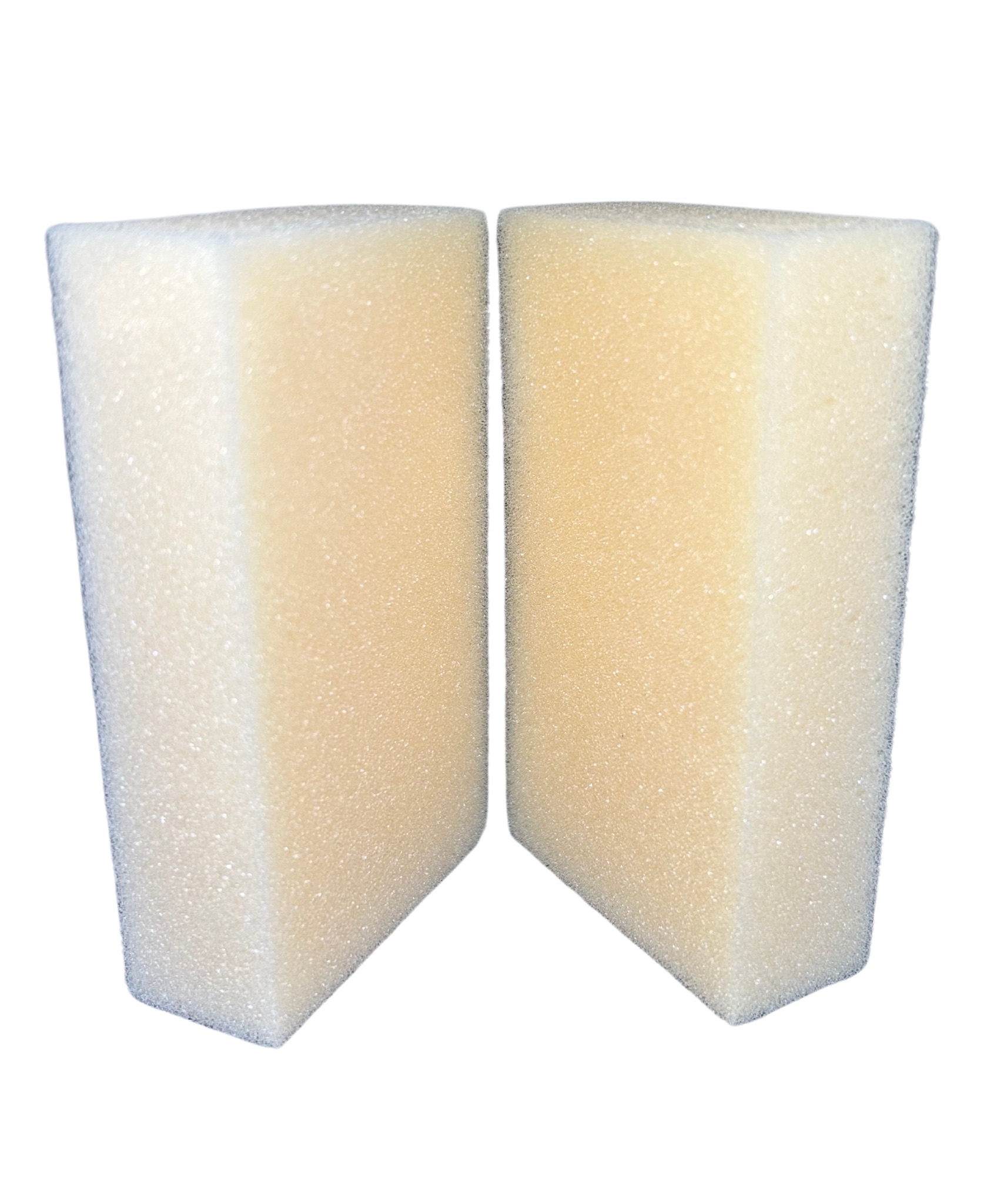 ESPONJA RECTANGULAR CHICA X2