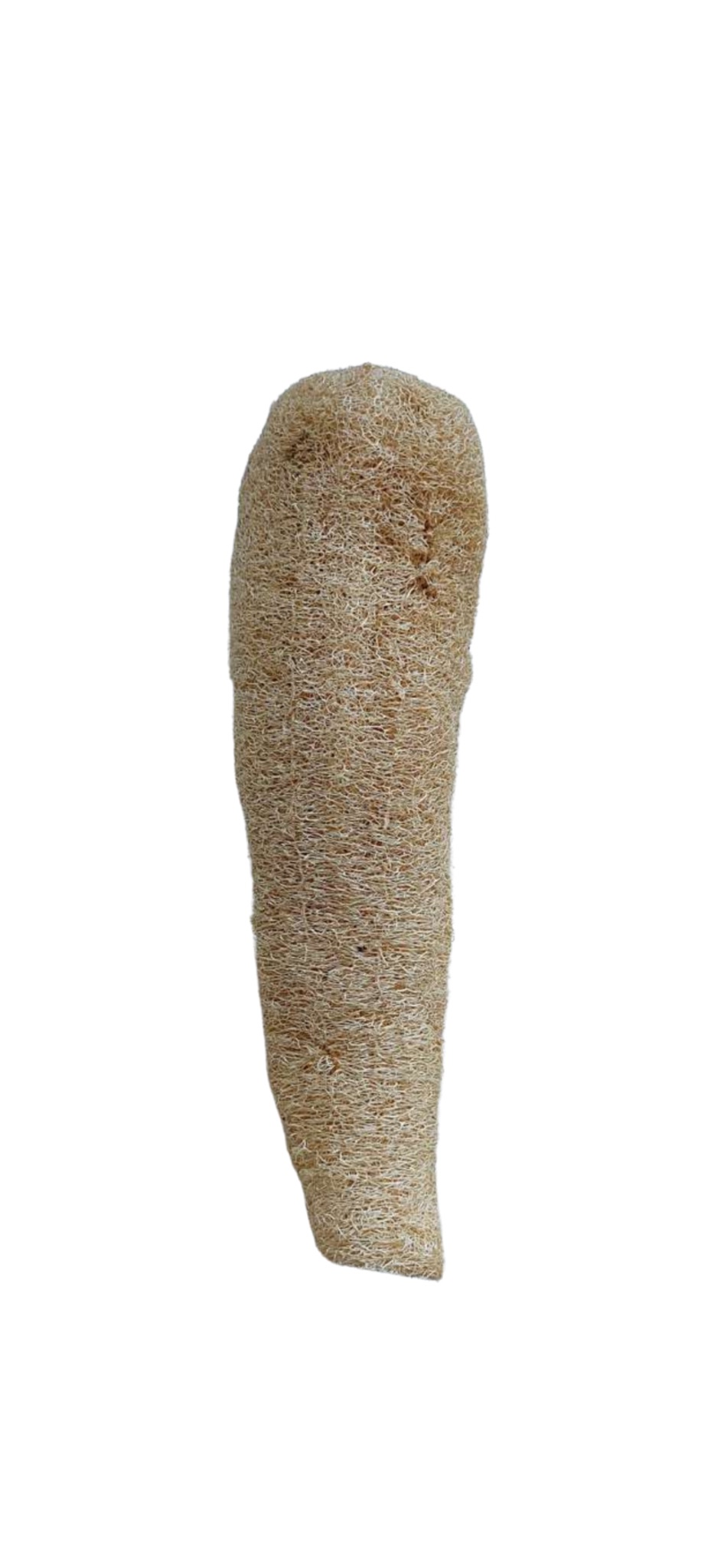 ESPONJA VEGETAL GRANDE