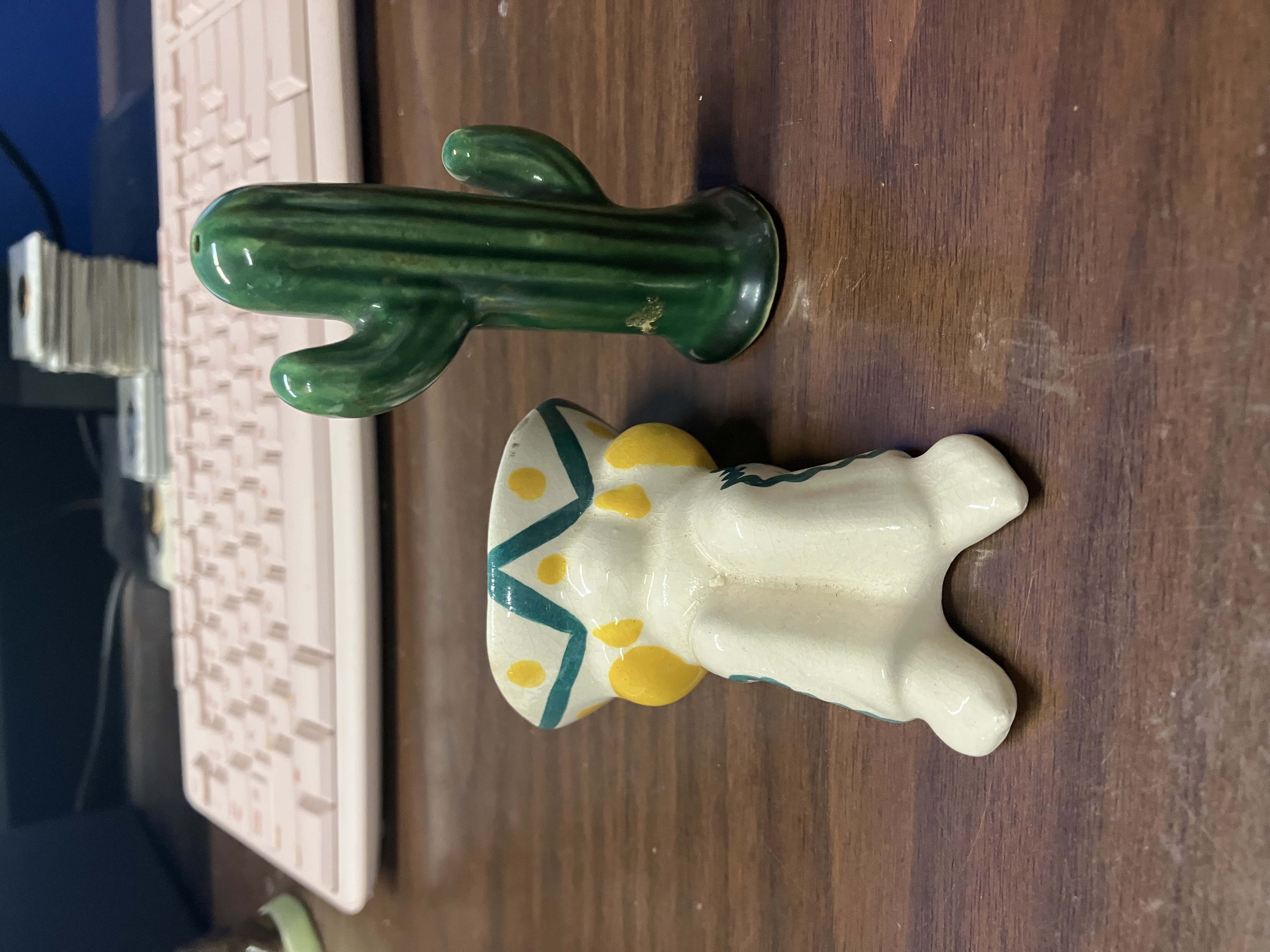Sleeping Mexican & Cactus Salt & Pepper Shaker Set