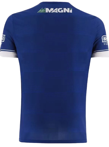 2025 O'Neills Laois GAA Home Jersey BNWT