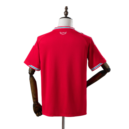 2025-26 Wales national football team Home Kit Shirt Calcio Soccer Jersey Fußball camiseta BNWT