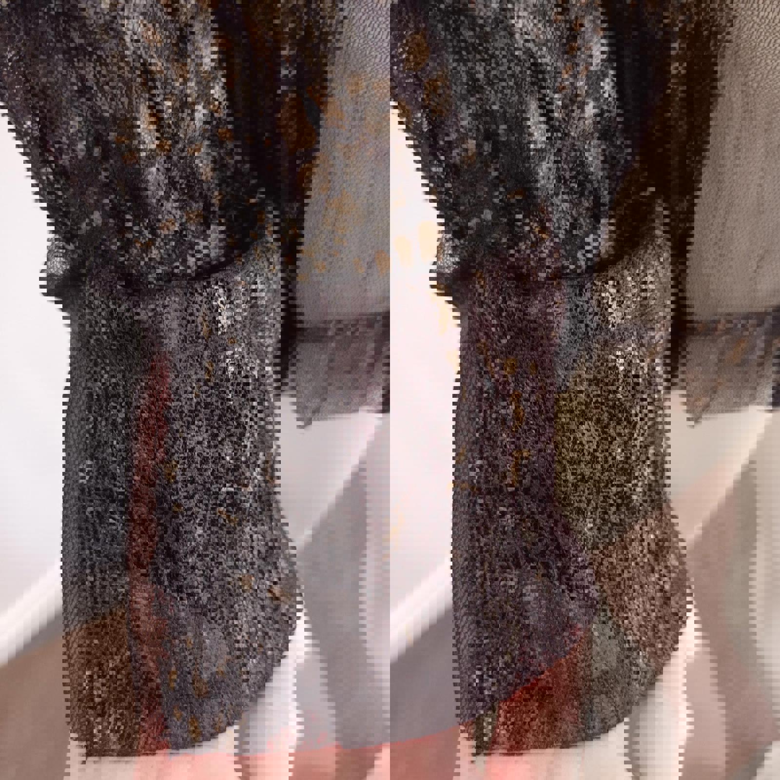 VERGE Abstract Brown Mesh Gold Blouse Jacket