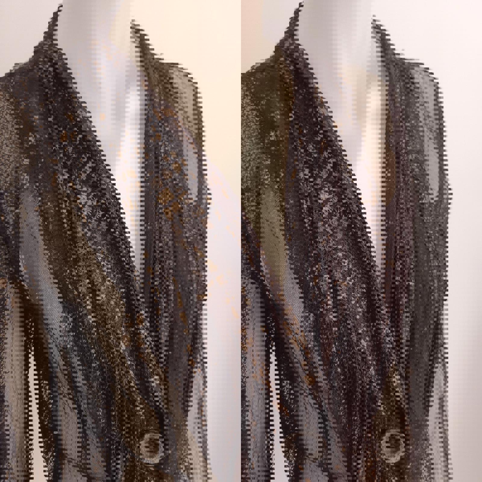 VERGE Abstract Brown Mesh Gold Blouse Jacket