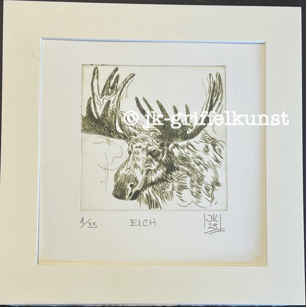 Originalradierung Elch