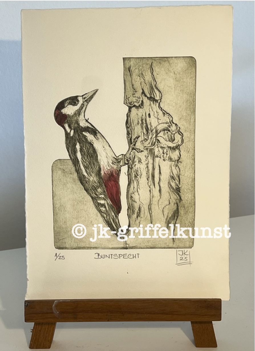 Originalradierung Buntspecht