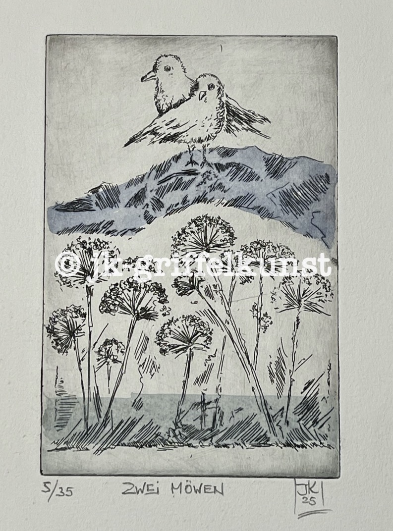 Originalradierung Zwei Möwen Norge