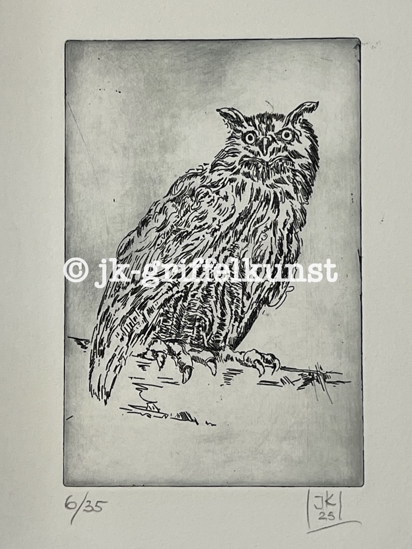 Originalradierung  Eule