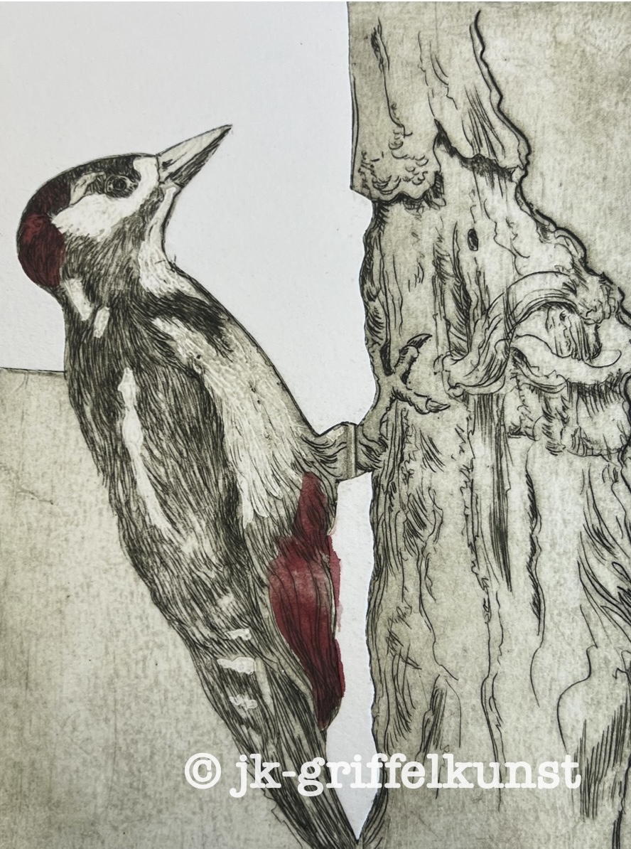 Originalradierung Buntspecht