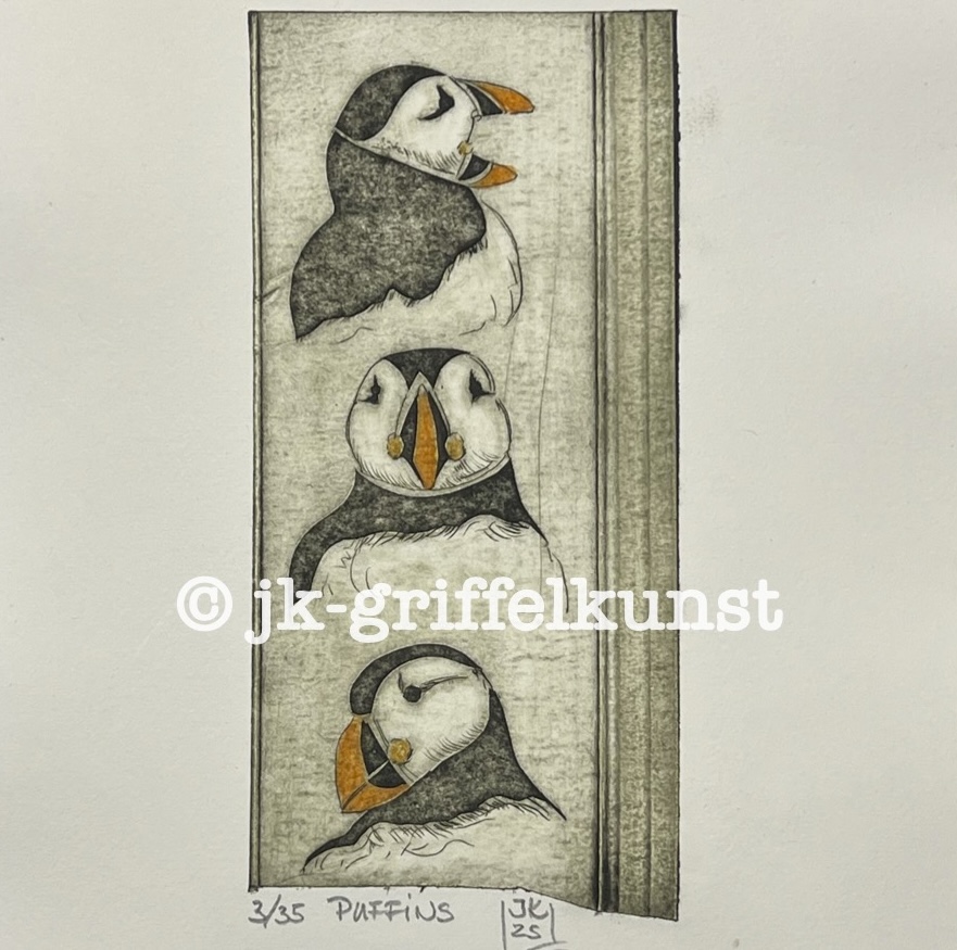 Originalradierung Puffins ( Papageientaucher)
